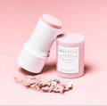 Madagascar Centella Poremizing Quick Clay Stick Mask